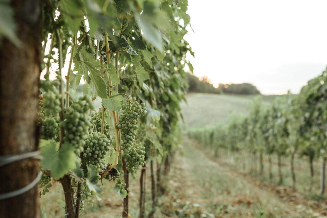 Villa Perelli Winery Bucine Exterior foto